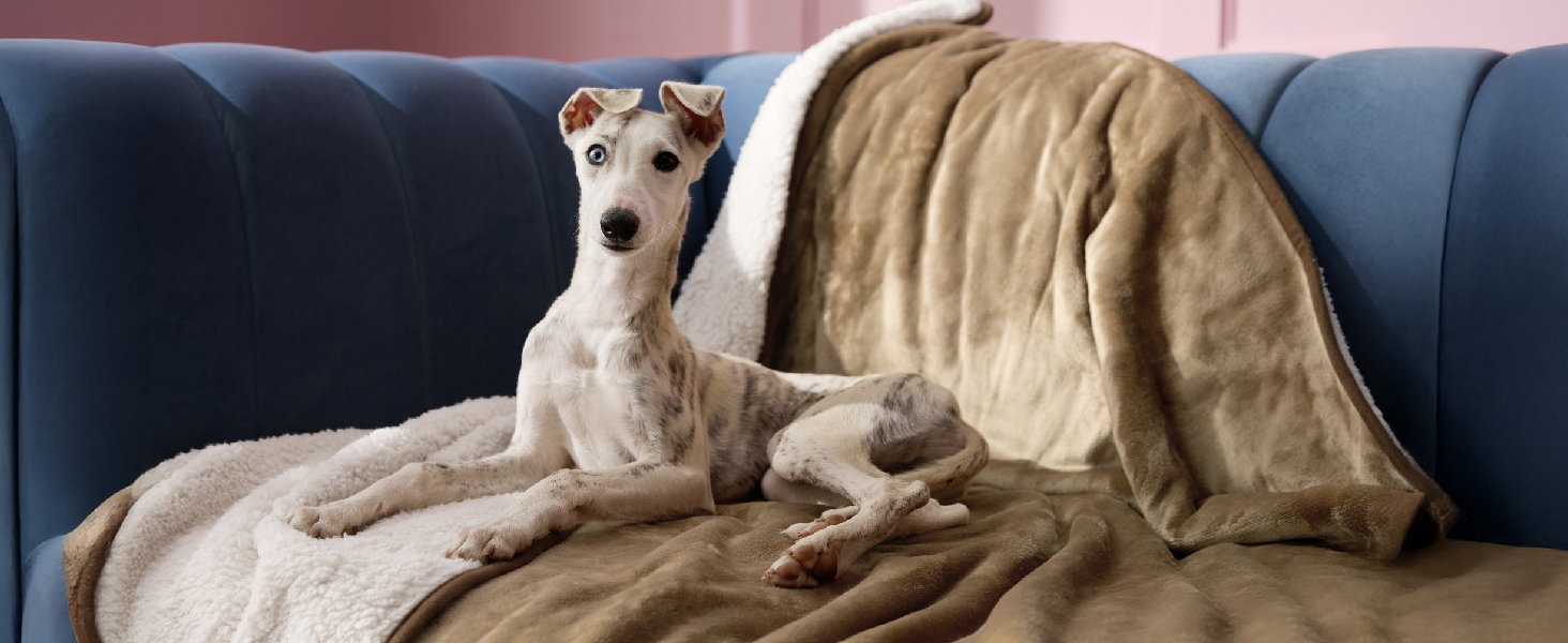 Водонепроникний коврик для собак Lesure, великі породи, 100x120 см, Outdoor, Sherpa Fleece, для дому та на вулицю, сірий