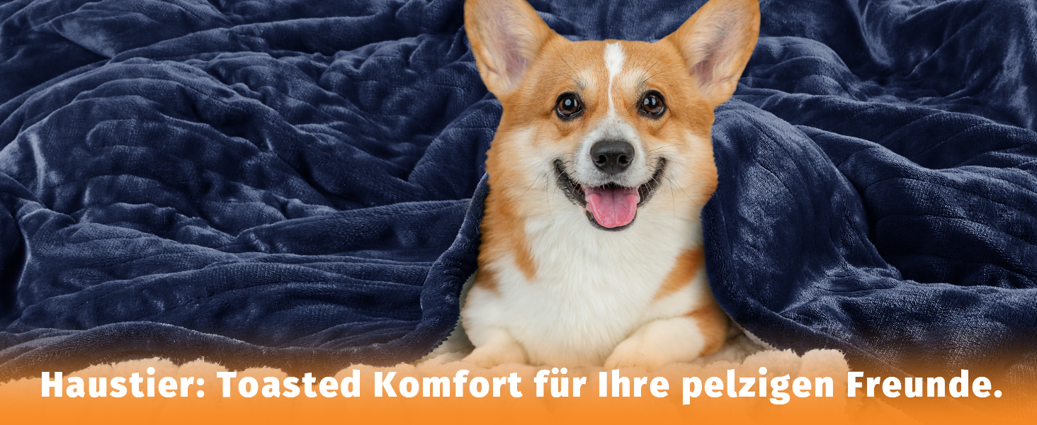 Електрична ковдра BOMOVA з автовимкненням, плюшева ковдра для дому, 10 температурних режимів, таймер, подарунок для жінок, блакитна, 130x180 см