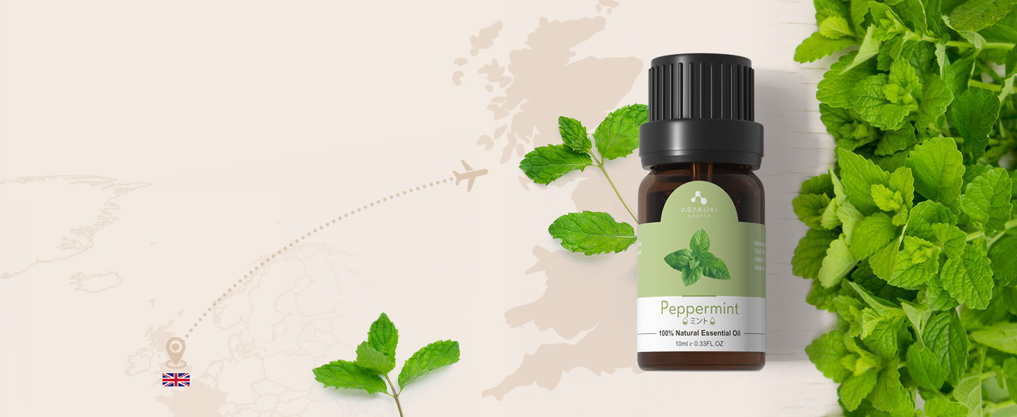 Дифузор аромату ASAKUKI 500 мл, ультразвуковий аромадифузор для ефірних олій, зволожувач повітря з пультом дистанційного керування, автоматичне вимкнення без води, 7 кольорів LED-підсвічування (з олією)