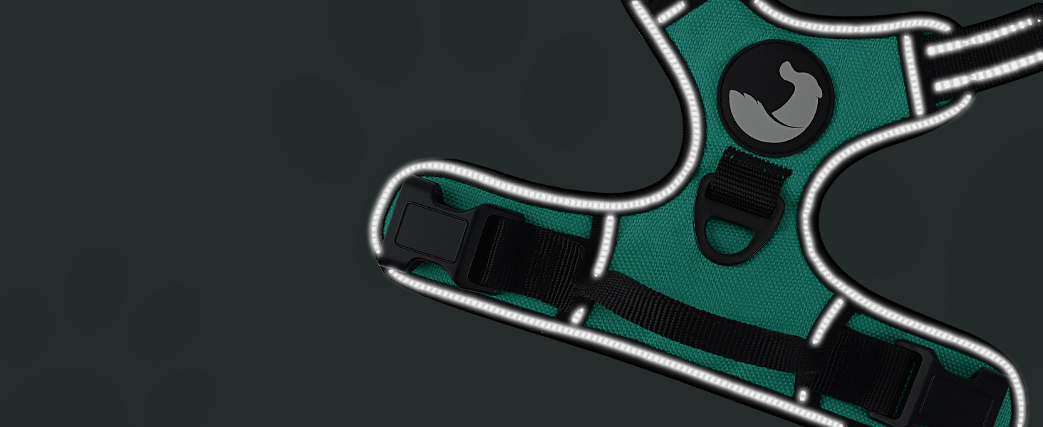 Нашийник для собак Joytale середнього розміру, світловідбиваючий, дихаючий, регульований з ручкою для тренувань, M (XL, 1 шт), блакитний