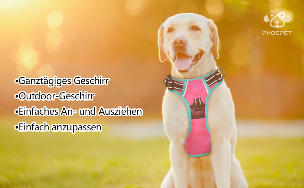 Шлейка для собак PHOEPET Anti-Zug з відбиваючими елементами, регульована, для цуценят та собак різних розмірів (блакитна основа та рожеві ремінці) - розмір S, рожева