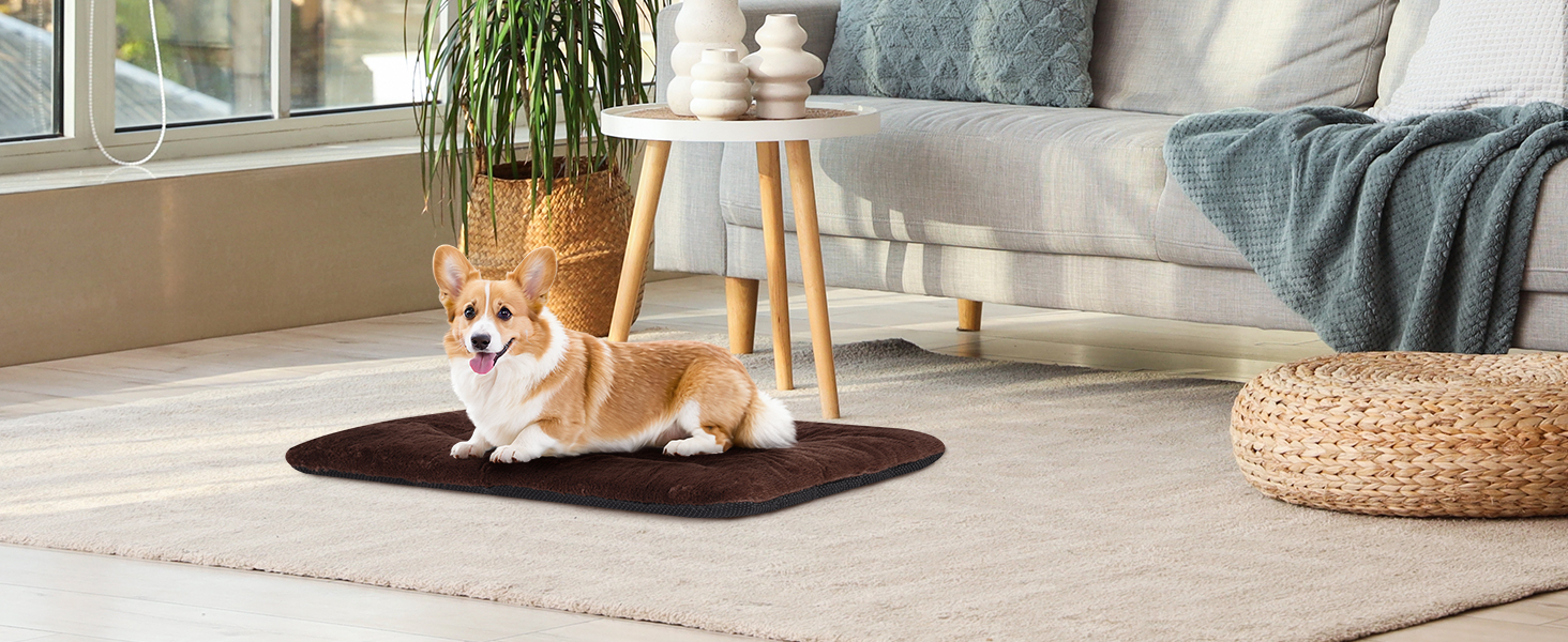 Крісло-ліжко для собак середніх порід Baodan, 90x60 см, сіре, з антиковзною основою