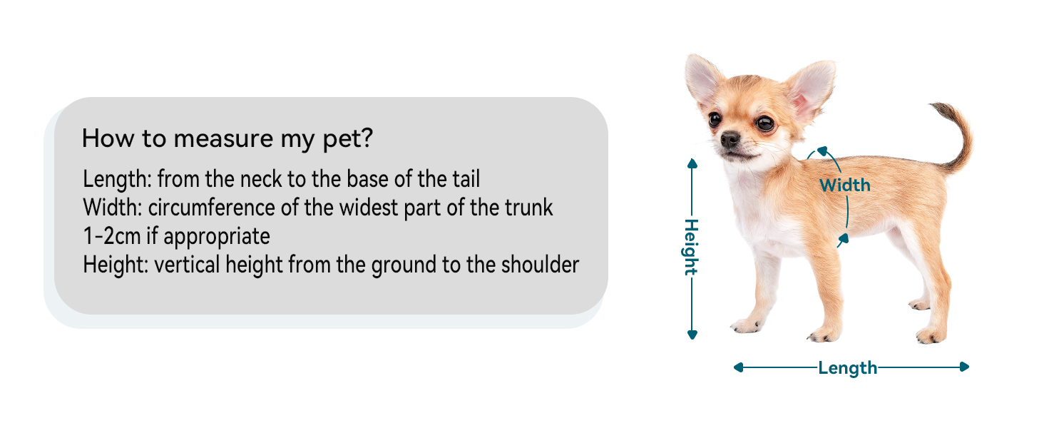 Рюкзак для котів та собак Petsfit - сірий, до 5 кг, з сіткою, для прогулянок