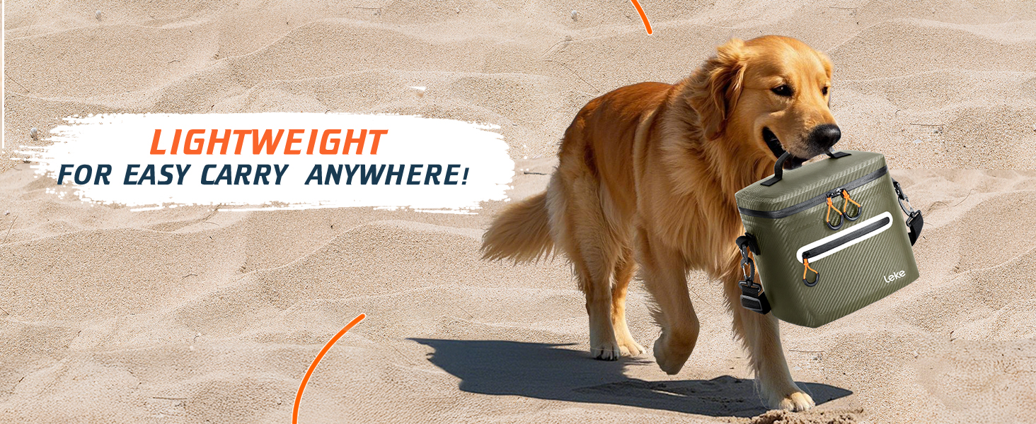 Lekesky 20L Ізольована Сумка-Холодильник – Переносна, Водонепроникна Сумка для Пікніка, Походу, Пляжу, Грилю (B-армійний зелений)