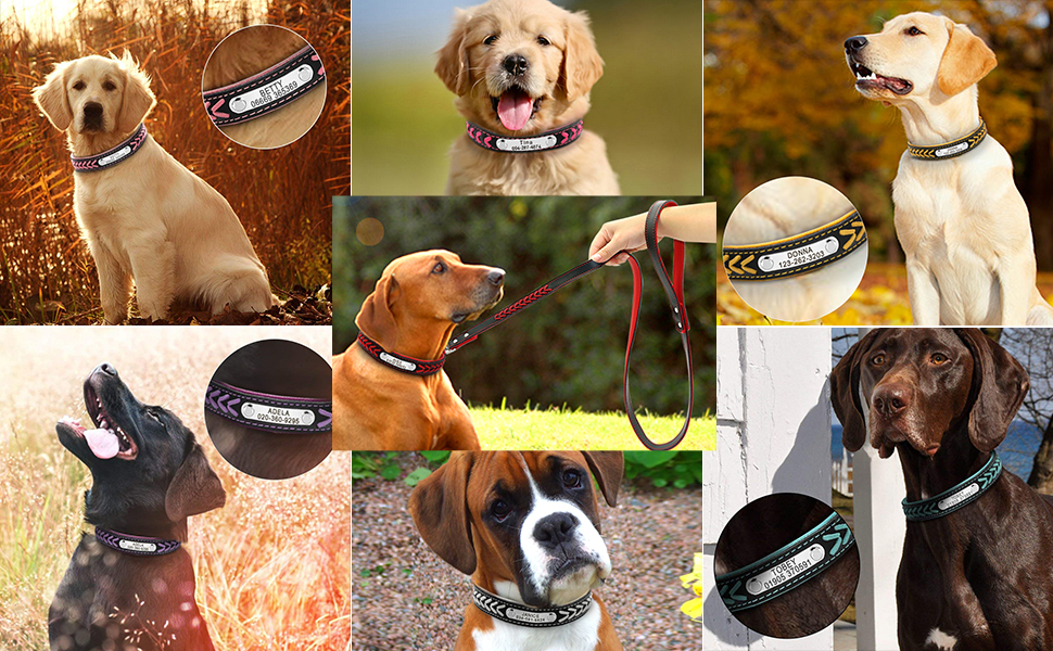 Шкіряний нашийник для собак та котів Berry з регулюванням та іменником, Rosa (L: 37-47 см)