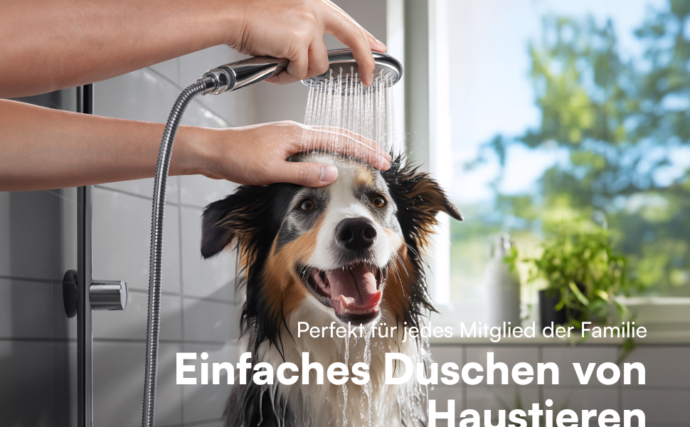 Насадка для душу H&S з високим тиском води - душова лійка з 5 режимами, хром