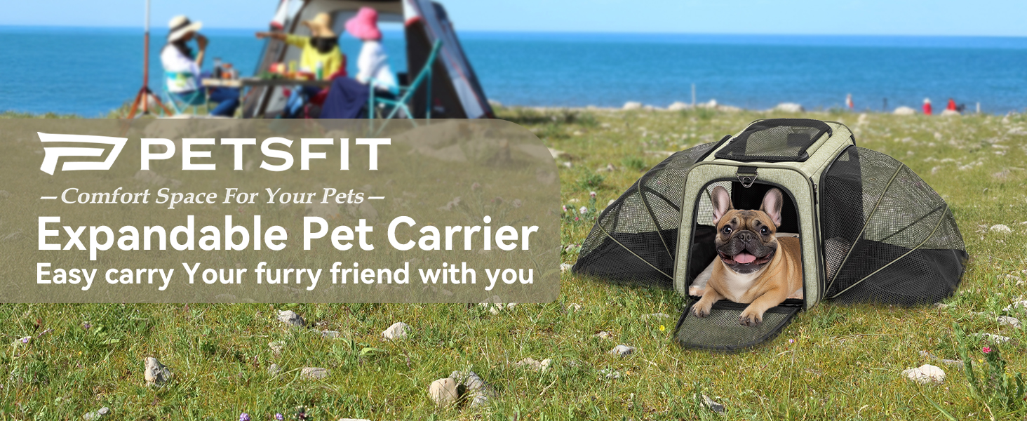 Транспортна сумка для котів та собак Petsfit, розширювана переноска з плечовим ременем, сумка-переноска для собак та котів, авіапереноска, оксфордська тканина, S/Зелений/Двосторонній Зелений L/Двосторонній