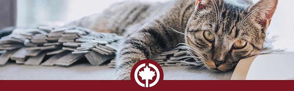 Килимок для котів CanadianCat Calvin, інтерактивний ігровий інтелектуальний килим, сірий/коричневий, 90x90x20 см