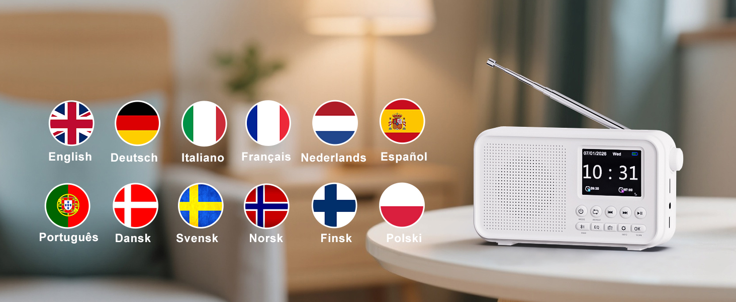Портативне DAB/DAB+ радіо з Bluetooth 5.0, FM, акумулятором 3000mAh, будильник, еквалайзер, підтримка TF-карт, 2.4