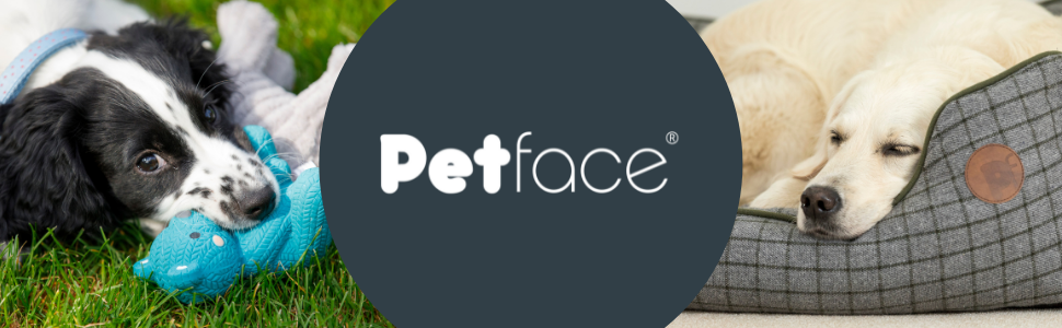 Керамічна годівниця для собак Petface з рельєфом кістки, кремового/зеленого кольору, 20 см