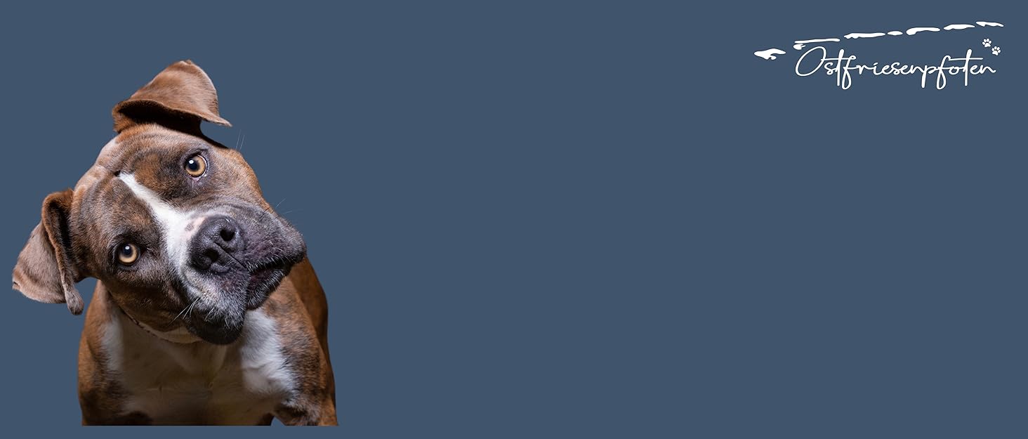 Футляр для ласощів для собак 'Frieda' з високоякісної штучної шкіри, чорний, розмір M. Зручна застібка EasyOpen на магніті, гаманчик для ласощів, сумка для прогулянок з собакою.