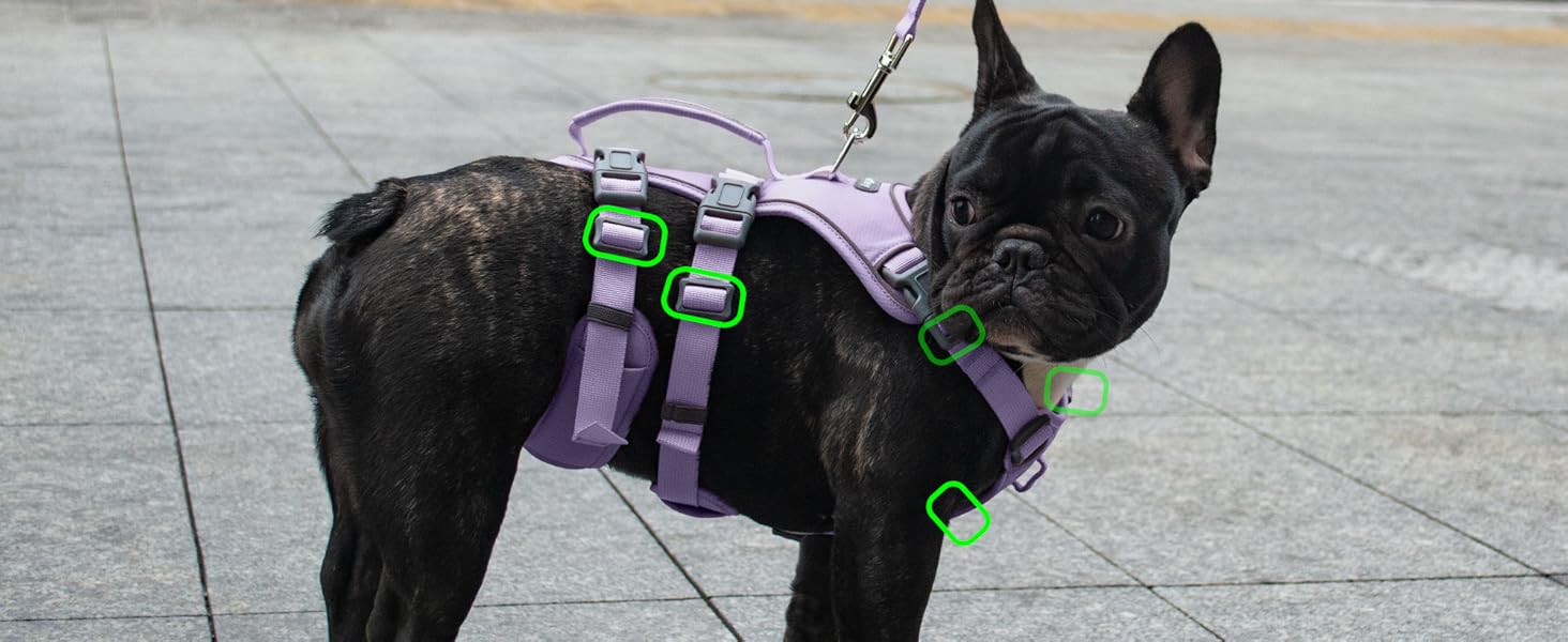 Нашийник для собак з повідком, безпечний нашийник від виривання, анти-тяга, нашийник для собак з ручкою та світловідбиваючими елементами, легкий, регульований, для середніх собак (XS) (Дуже маленький, фіолетовий)