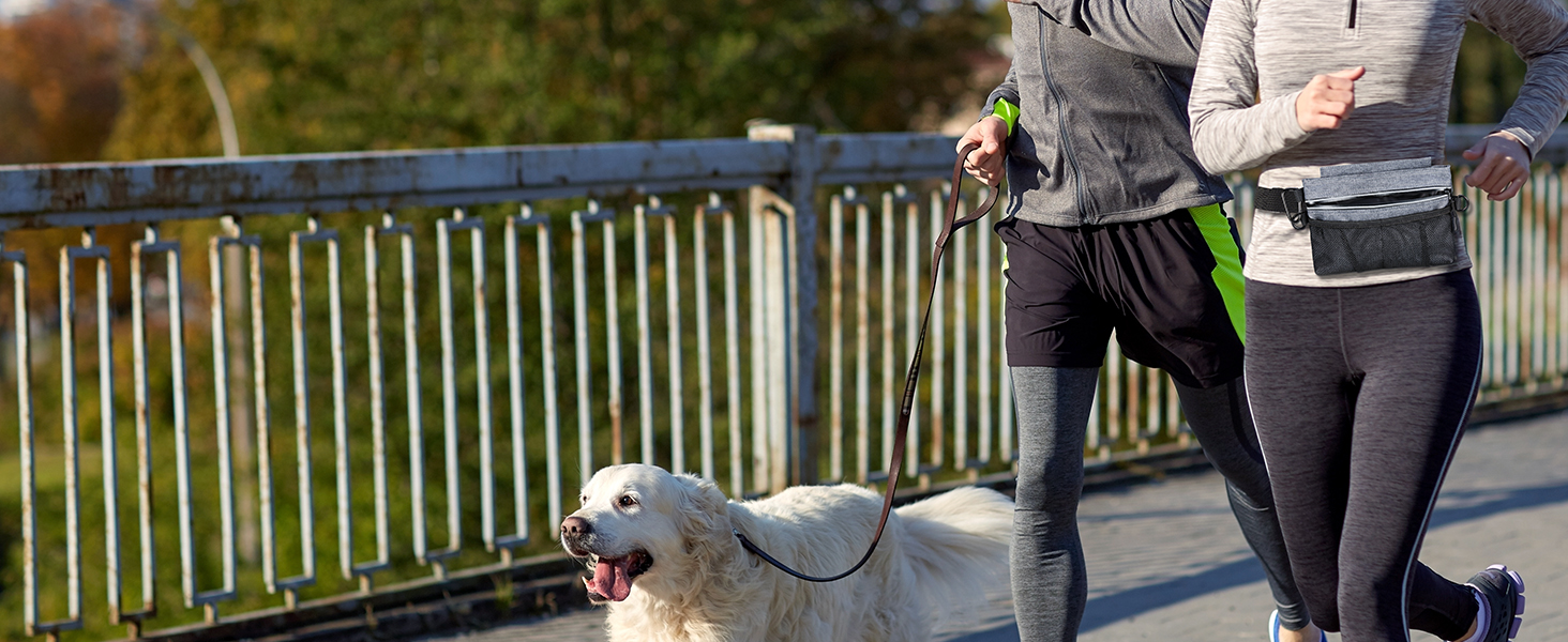 Сумка для ласощів для собак Brifit з магнітною застібкою, для тренувань, з регульованим шнурком, знімною внутрішньою кишенькою та дозатором для пакетів, 4 x 22 x 27 см
