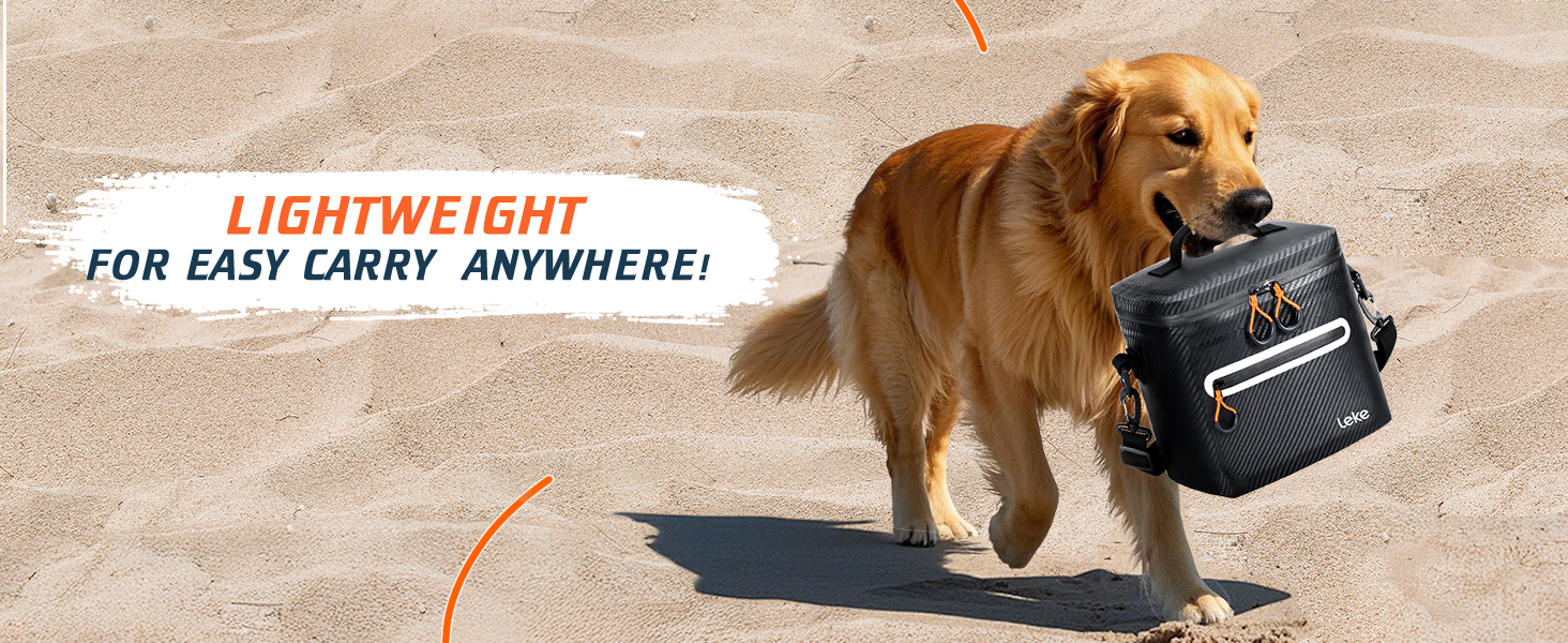 Lekesky 12/20L Ізольована Холодильна Сумка – Переносна Сумка для Пікніків, Походів, Пляжу, Барбекю, Чорна 12/20L