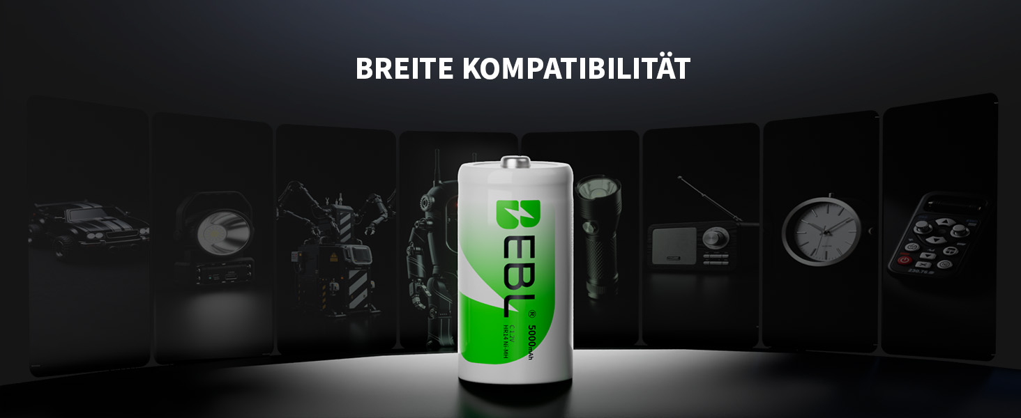 Зарядний пристрій EBL для акумуляторів AA AAA C D NI-MH, Type-C, LCD дисплей, швидка зарядка (зарядний пристрій + 4 x C)