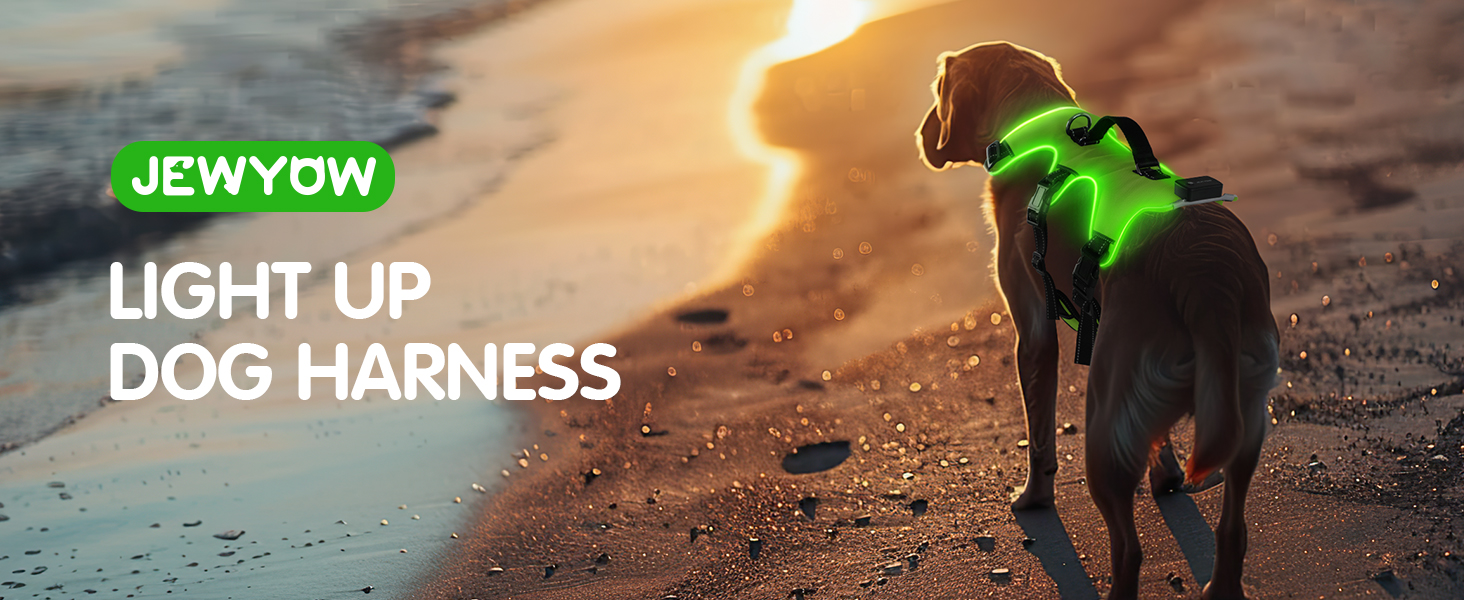 Світловідбиваючий нашийник для собак Jewyow з LED, перезаряджуваний, водонепроникний, 3 режими, зелений, розмір M