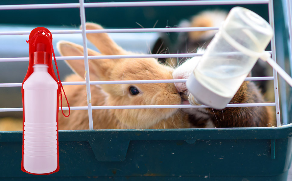 Поїлка для собак у подорожі: складана пляшка для води 250/500 мл. Зручна для собак та котів.