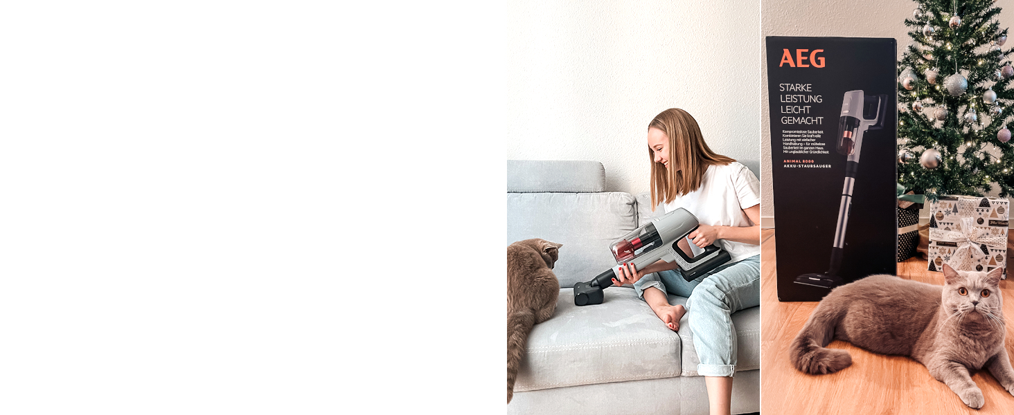 Пылесос AEG ANIMAL 8000 AP81AB25UG: аккумуляторный, 5-ступенчатая фильтрация, цифровая панель, насадки для шерсті тварин та для різних поверхонь, сірий