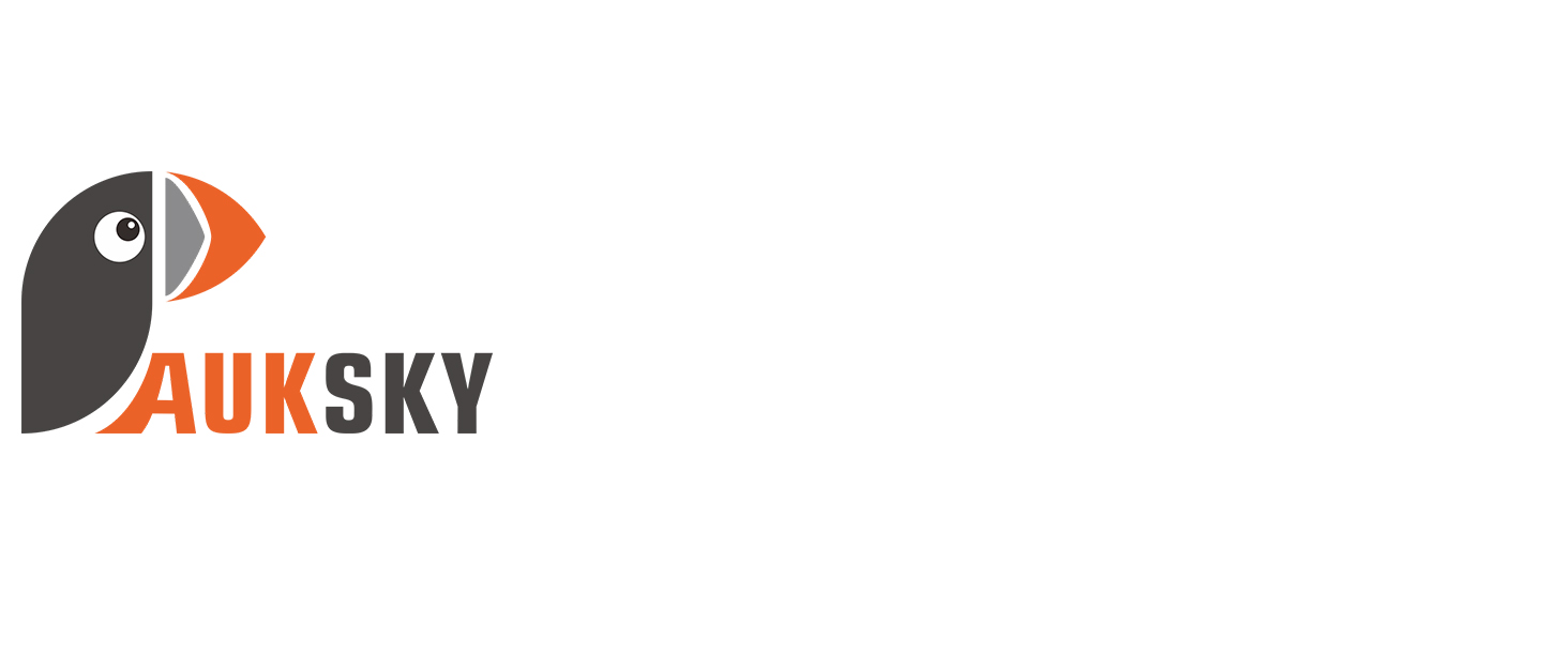 Зарядний пристрій для акумуляторів AUKSKY з LCD-дисплеєм (8 слотів) - універсальний заряд для NI-MH, NI-Cd, AA, AAA, 14500, 18350, 21700, 26650, Li-Ion, LiFePO4, RCR123A, 1.5A