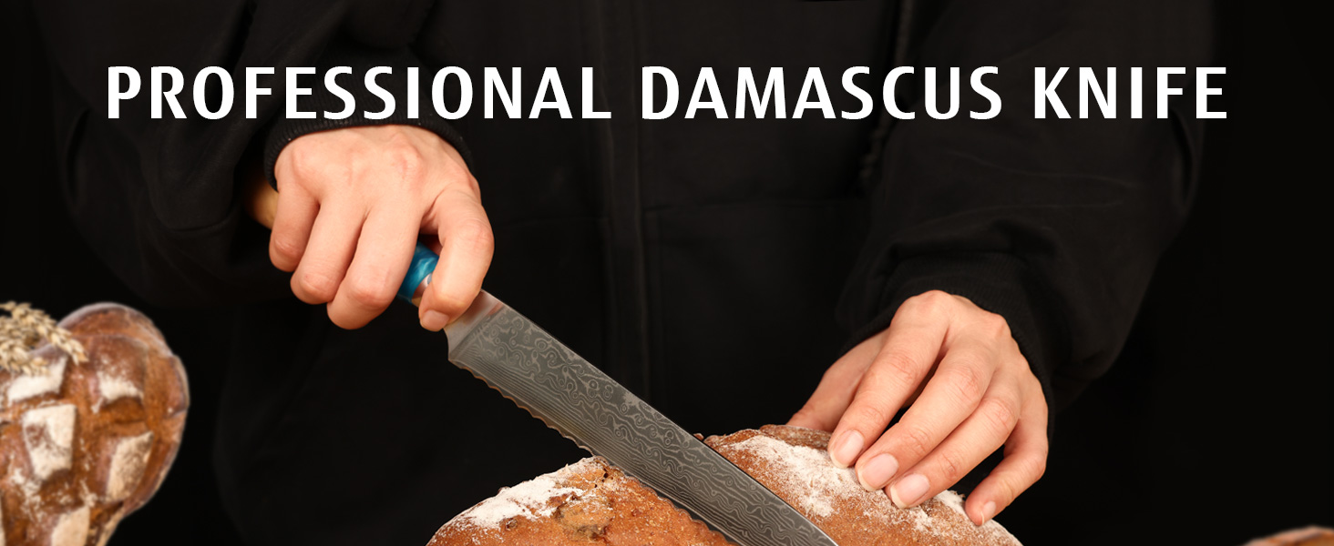 Японський ніж з дамаської сталі Hecef, 20 см, професійний кухонний ніж з ергономічною ручкою з смоли, 67 шарів, з захистом для ножа, подарунок для шеф-кухаря та любителів кулінарії