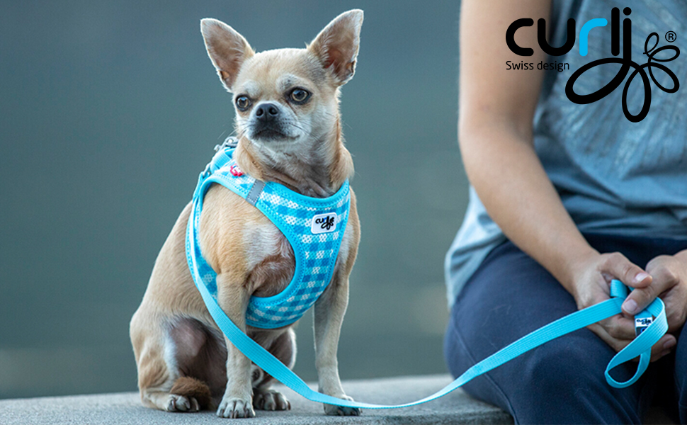 Шлейка для собак Air-Mesh блакитна з коламі, розмір M & поводок L блакитний з коламі