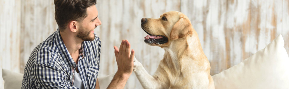 Ножиці для обрізання кігтів Golden Pets Profi Krallenschere + пилка для кігтів з унікальним кутом 45° та захистом