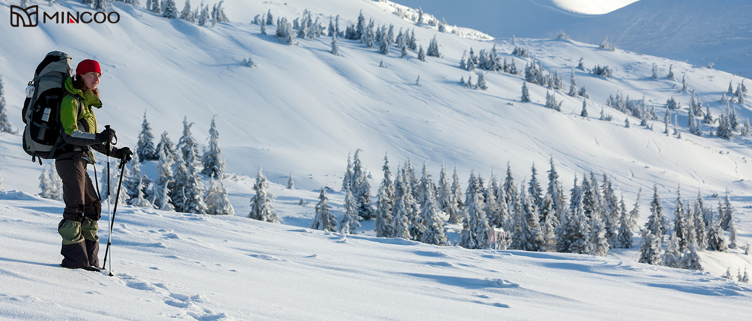 Гріюча жилетка для чоловіків та жінок з акумулятором 10000mAh, 5 зон обігріву, 3 режими температури, подвійне керування, чорна, для зимових активностей