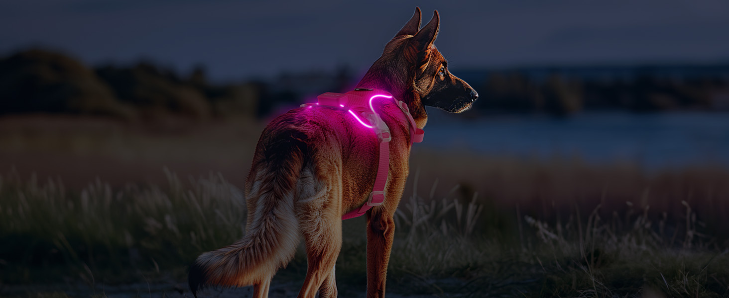 Світлодіодна шлейка для собак з підсвічуванням, світловідбиваюча, регульована, рожева, XL