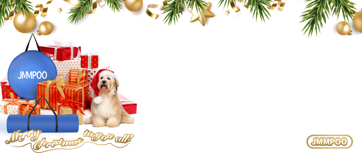 Набір для аджиліті для собак, 65 предметів: тунель, перешкоди, фігури для слалому, кільце для стрибків, м'ячики, переносна коробка, сумка для ласощів, сумка для перенесення