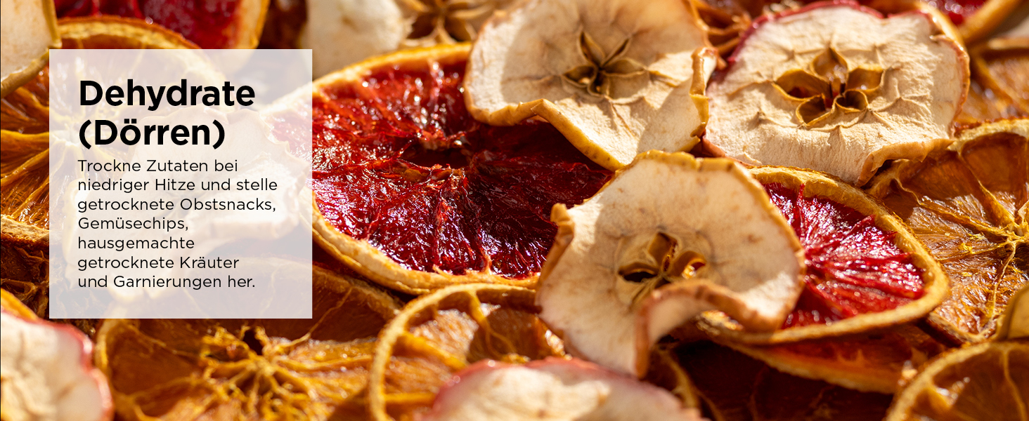 Фритюрниця Ninja Dual Zone Digital Air Fryer DZ400EU, 9.5L, 6-в-1, 2 відсіки, металевий сірий, для смаження, запікання, підігріву