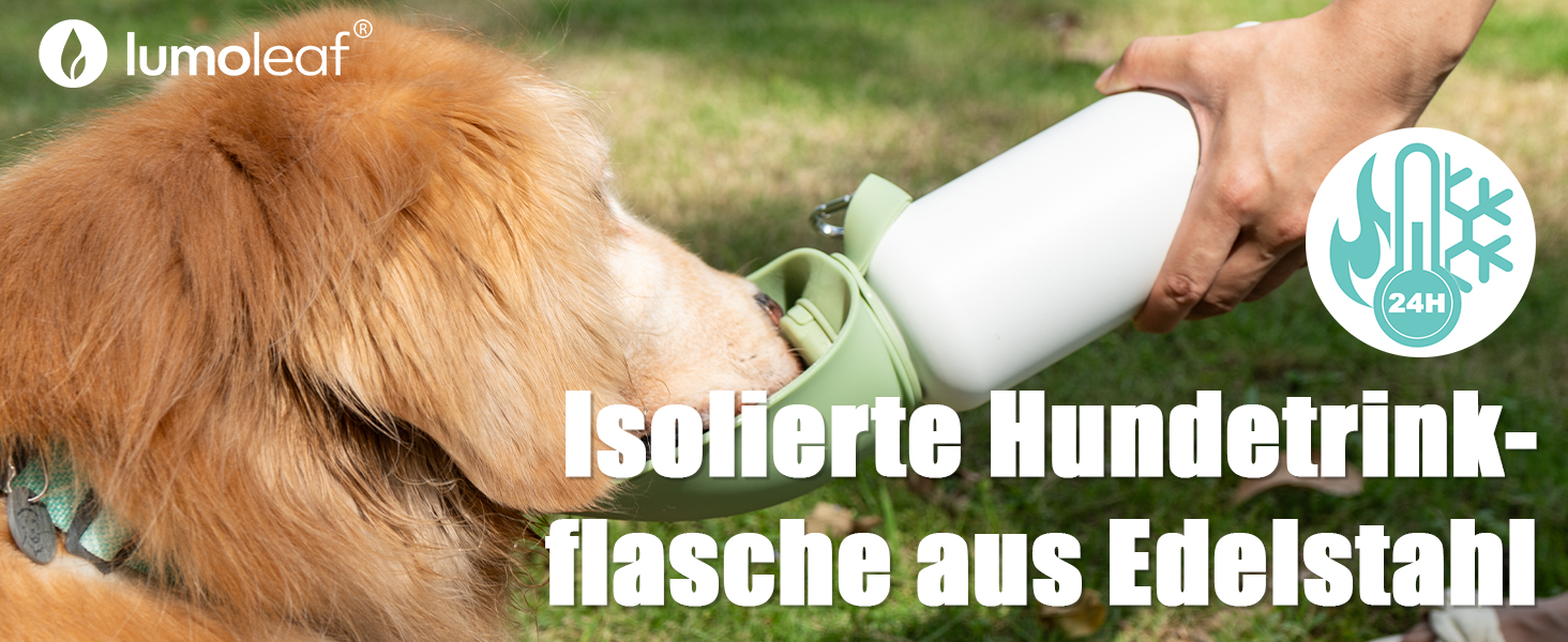 Термофляга для собак LumoLeaf з нержавіючої сталі, 800 мл, зелена - зберігає воду холодною/теплою, довговічна, портативна