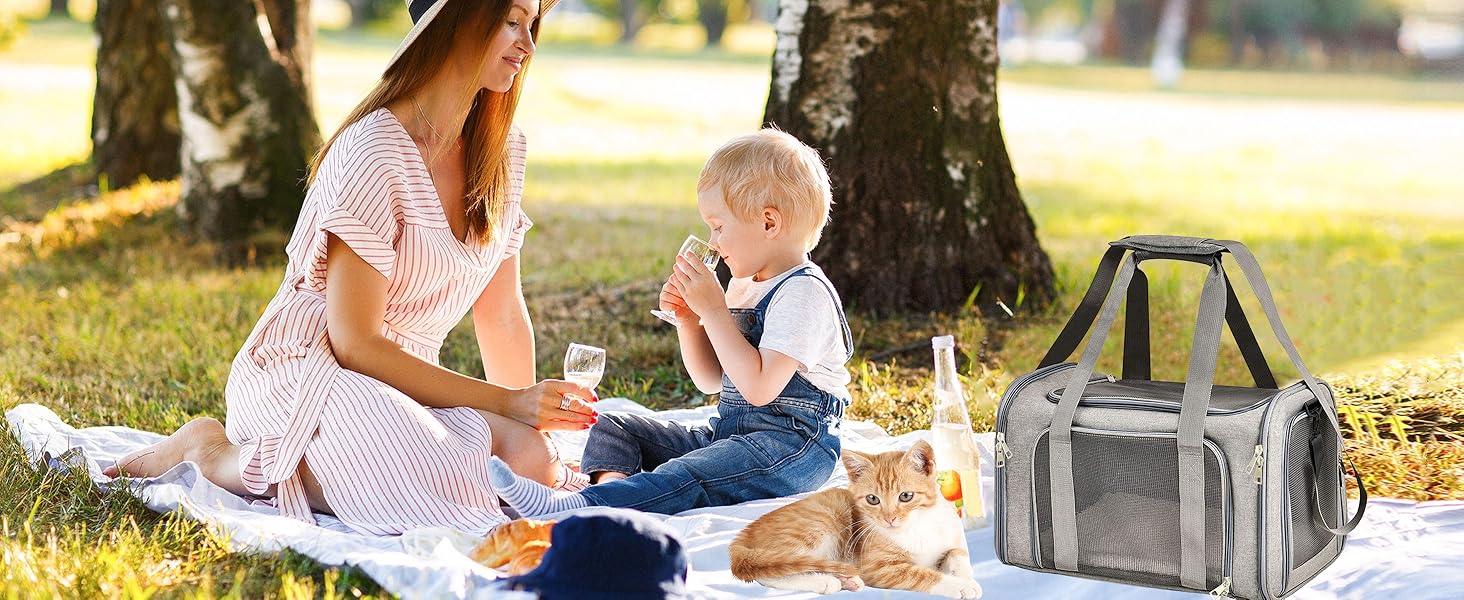 Транспортна сумка для кота та собаки, переноска для собак, складана переноска для котів, портативна, до 5 кг, переноска для середніх собак та котів (M, сіра) 43 x 28 x 28 см