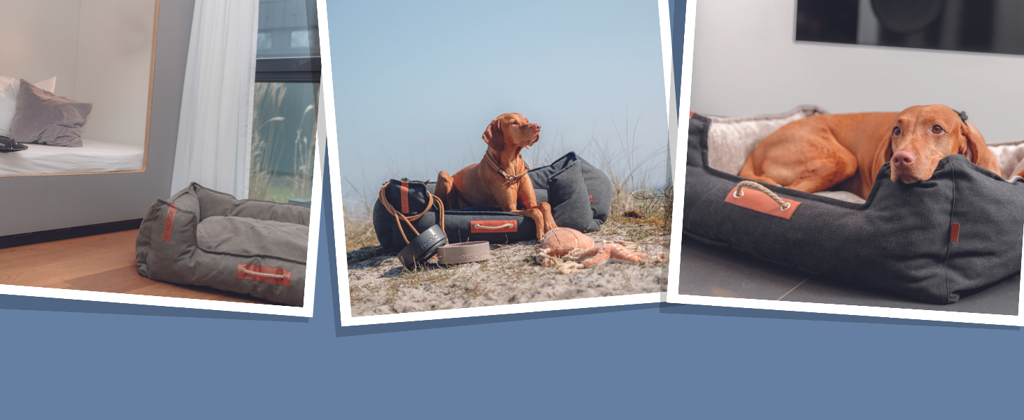 Тріксі лежанка для собак Nordic Föhr, 70 см, чорна – зручна лежанка-кошик для собак великих та малих порід, з ручкою для перенесення, м'яка та миється, 36595, розмір 100 x 80 x 36 см