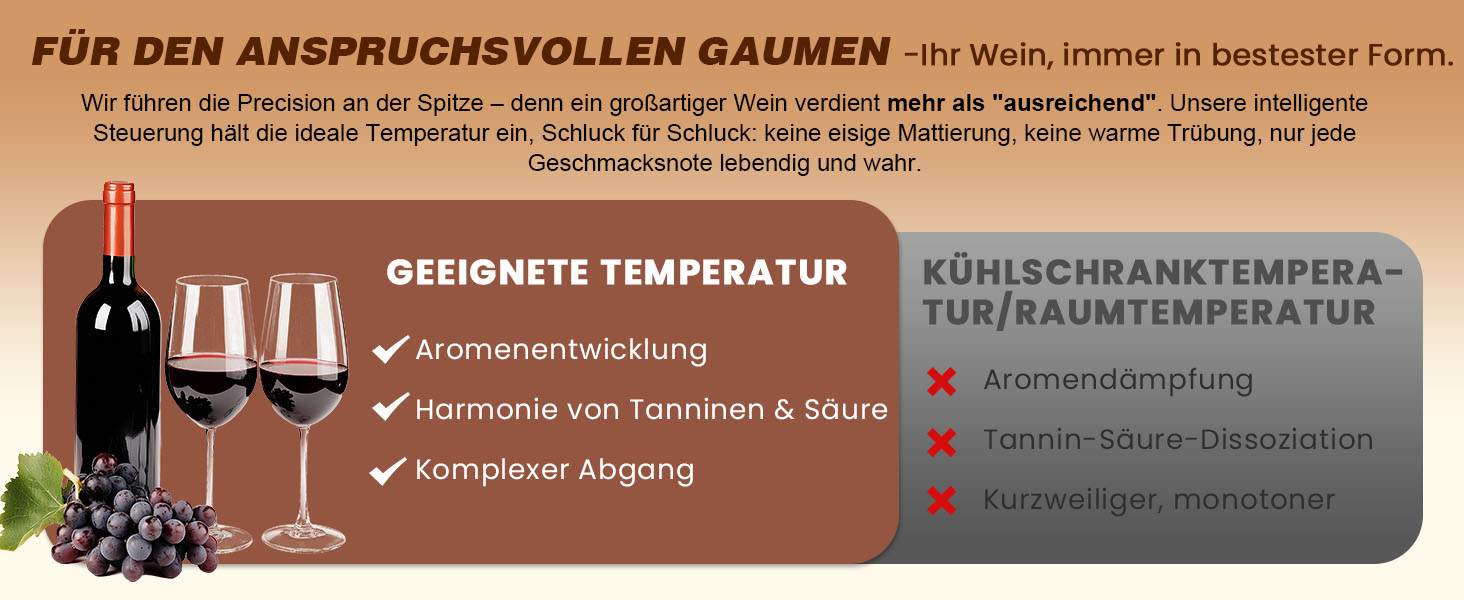 NEWTRY Електричний охолоджувач вина, для 750мл пляшок, з кабелем, для дегустацій при низькій температурі