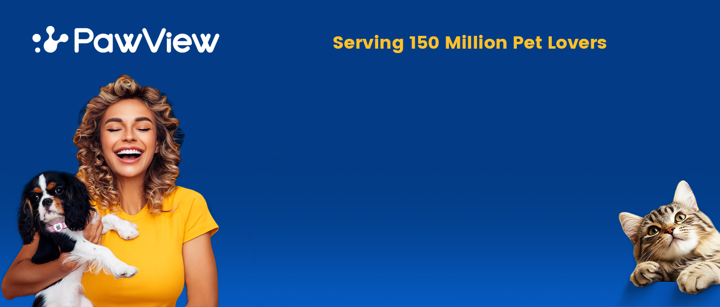 Набір повідка та нашийника для собак, регульований, чорний, S (28–43 см, 1.5 м)