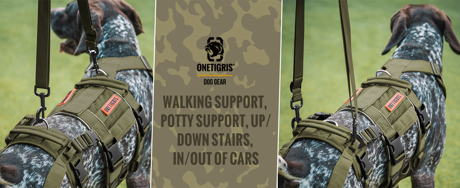 Шлейка для собак OneTigris SKYEWALKER, підтримуюча шлейка з 2 ручками, регульована, для реабілітації та підтримки, XL (M:14-27кг(ОБ:40-58см, Грудка:60-81см), Зелена)