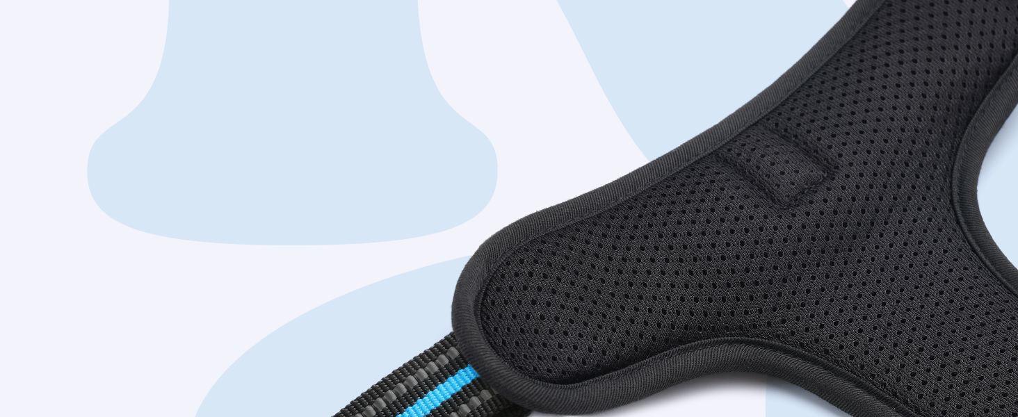 Нашийник для собак Rabbitgoo, великі породи, регульований, проти тяги, з ручкою, м'який, світловідбиваючий, блакитний, L (XL, 1 шт.)