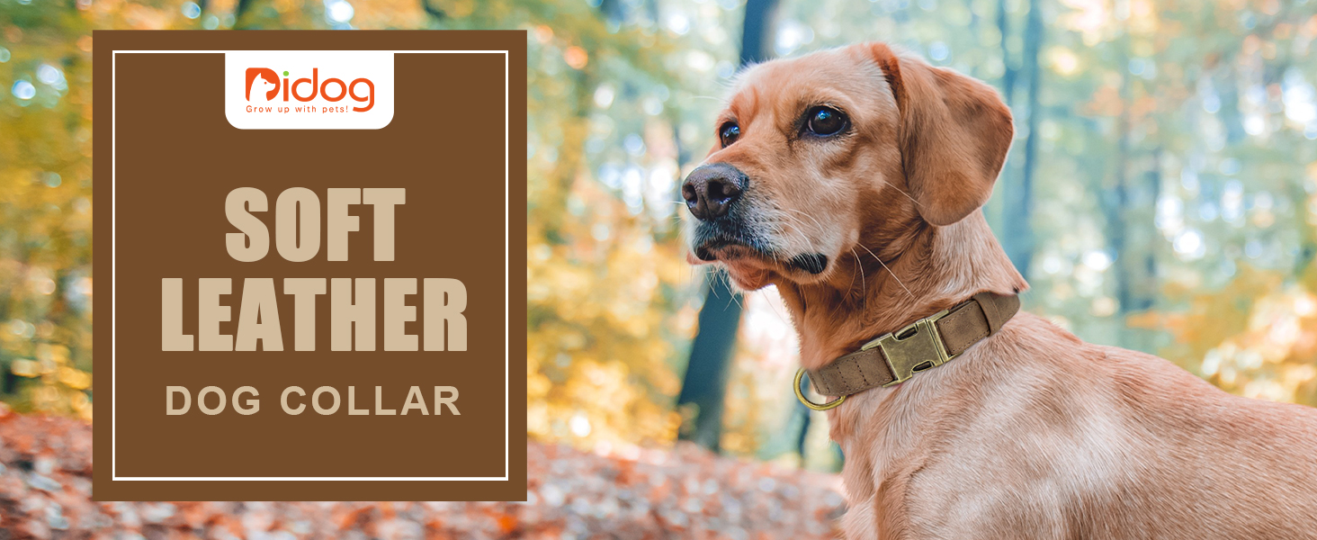 Шлейка для собак Didog з м'якої шкіри, міцна, з надійною застібкою, регульована, для середніх та маленьких собак, блакитна, розмір M (13-21 см)