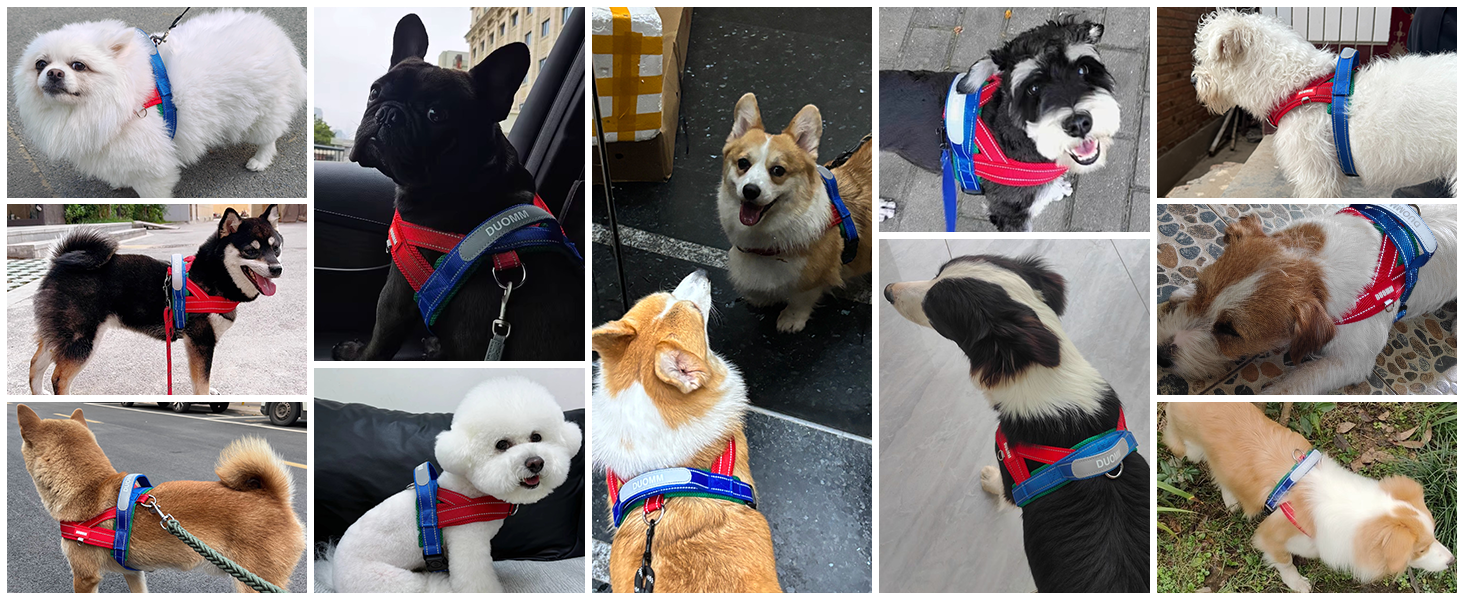 Нашийник для собак середніх та маленьких порід з повідком, кольоровий, з м'якою підкладкою, з ручкою та кільцем, світловідбиваючий, легкий, чорно-сірий, розмір M