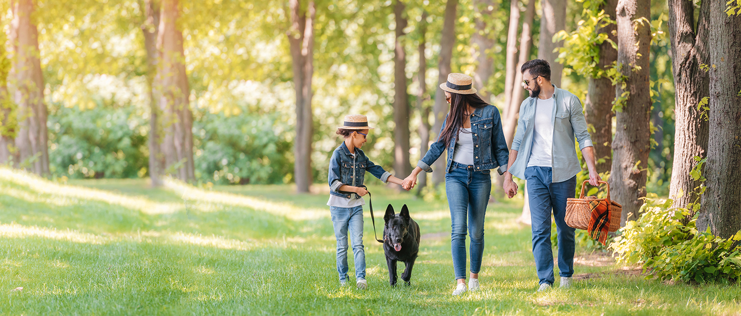 Візок для собак Wedyvko до 20 кг, 4 колеса, складаний, для маленьких та середніх собак та котів, з кошиком та тримачем для напоїв, чорний