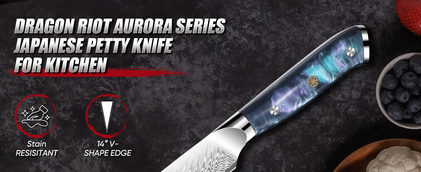 DRAGON RIOT Кухонний ніж професійний, шеф-ніж з ручкою з епоксидної смоли, з піхвою (універсальний)