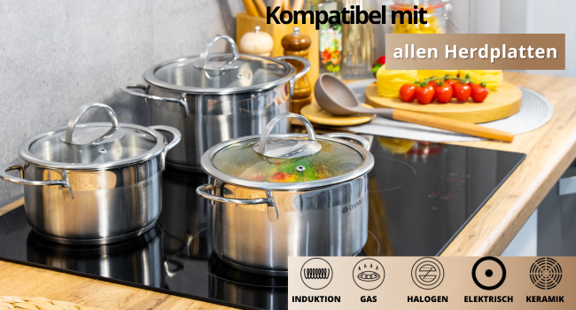Каструля Daniks Bonn з нержавіючої сталі для індукції з кришкою, 20 см, 3.4 л, для пасти, супу, срібляста