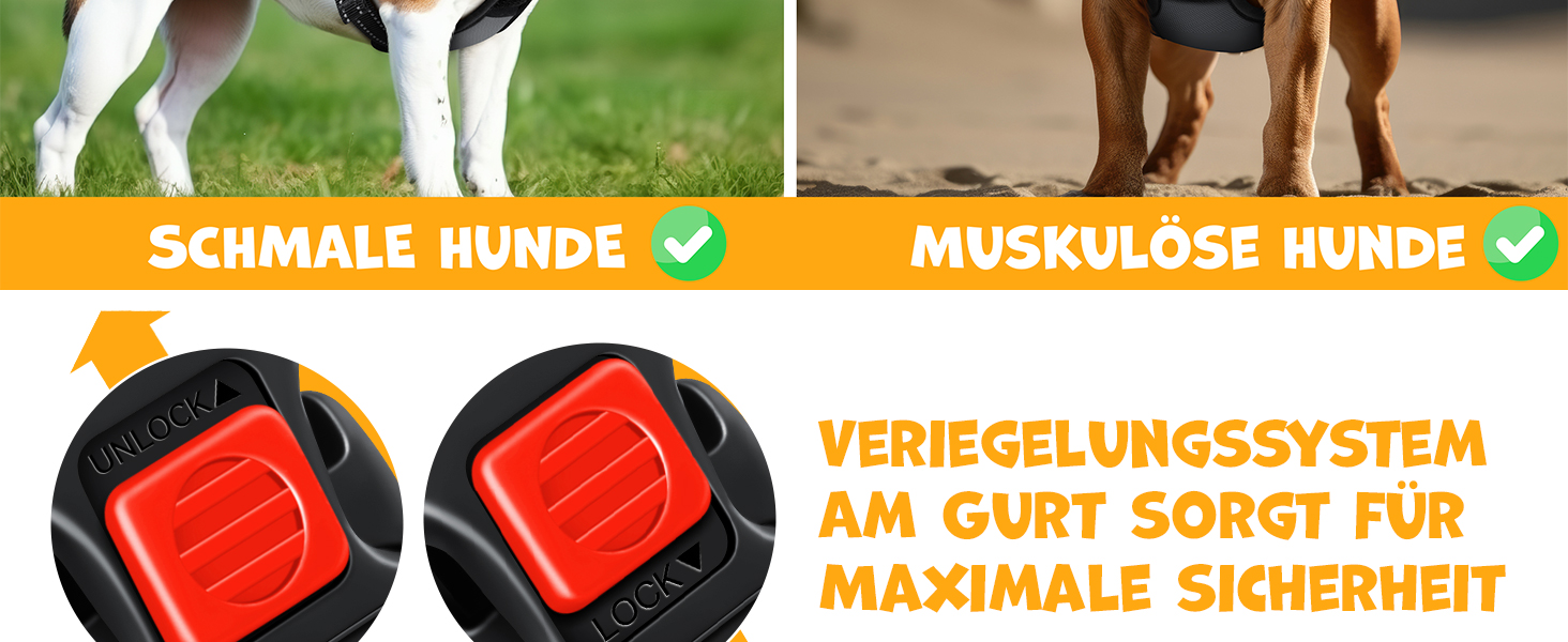 Шлейка для собак без натягу та задухи для маленьких собак та цуценят, дихаюча та м'яка, світловідбиваюча | Шлейка No-Pull з ручками та рулетами для відходів | Регульована шлейка з ручкою, колір антрацит, розмір L