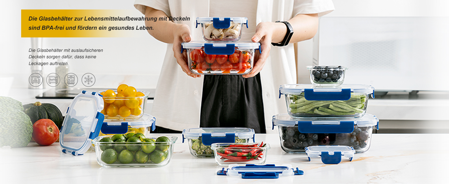 Набір скляних контейнерів для зберігання їжі з кришками з преміум-пластику, 10 шт., блакитні