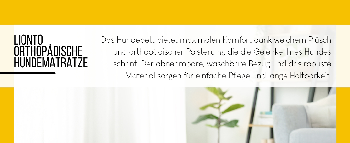 Ортопедичне ліжко для собак Lionto, 60x40x8 см, з м'яким плюшем, знімний та пральний чохол, водовідштовхувальне, для собак та котів, сірого кольору