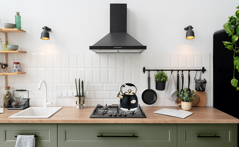 Чайник-свисток 3L з нержавіючої сталі, з термостійкою ручкою, для індукційних плит, чорний