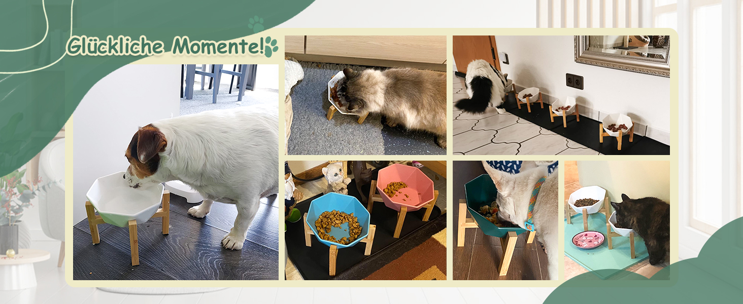 Керамічна годівниця для котів та собак на підставці, нахилена, зелена, 1 шт.