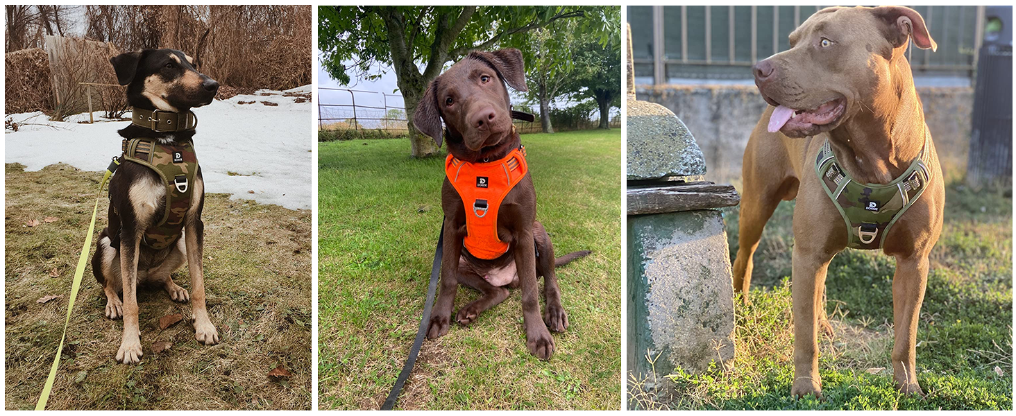 Нашийник для собак великих порід, антинатяг, світловідбиваючий, дихаючий, зручний, безпечний, м'який, зелений, XL, упаковка 1 шт.