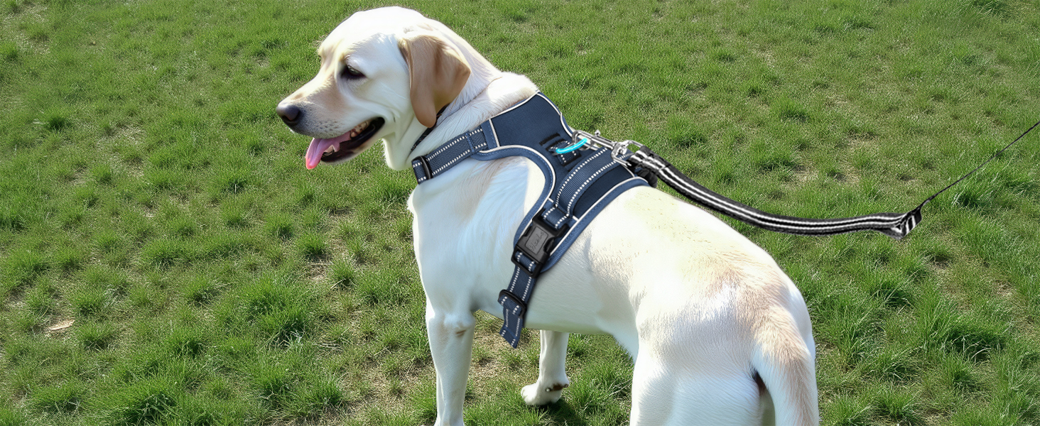 Шлейка для собак HEELE з розподілом навантаження, світловідбиваюча, з м'якою ручкою, контроль, 2 металеві кільця, для собак маленьких, середніх та великих порід, Aree, Зелена, C-Aree Grün (L, Uni-Königsblau)