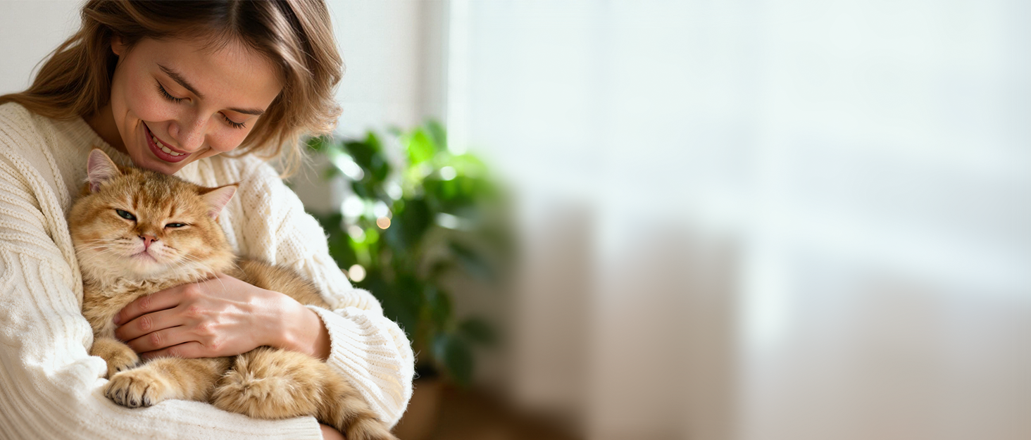 Автоматичний годівник для котів та собак IMIPAW з Wi-Fi, 5G, 4L, чорний, керування через додаток